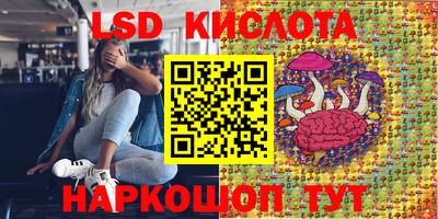 СК Коммунар