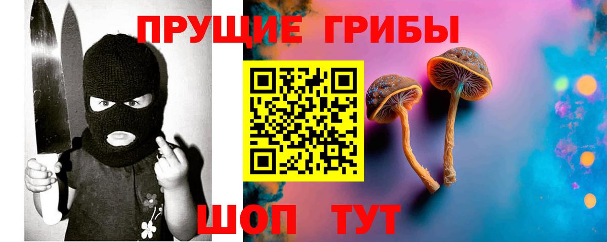 Клин  Псилоцибиновые грибы MAGIC MUSHROOMS  Псилоцибиновые грибы GOLDEN TEACHER  Вход с VPN 